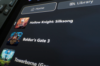 hollow knight: silksong